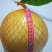 金柚1.8斤以上