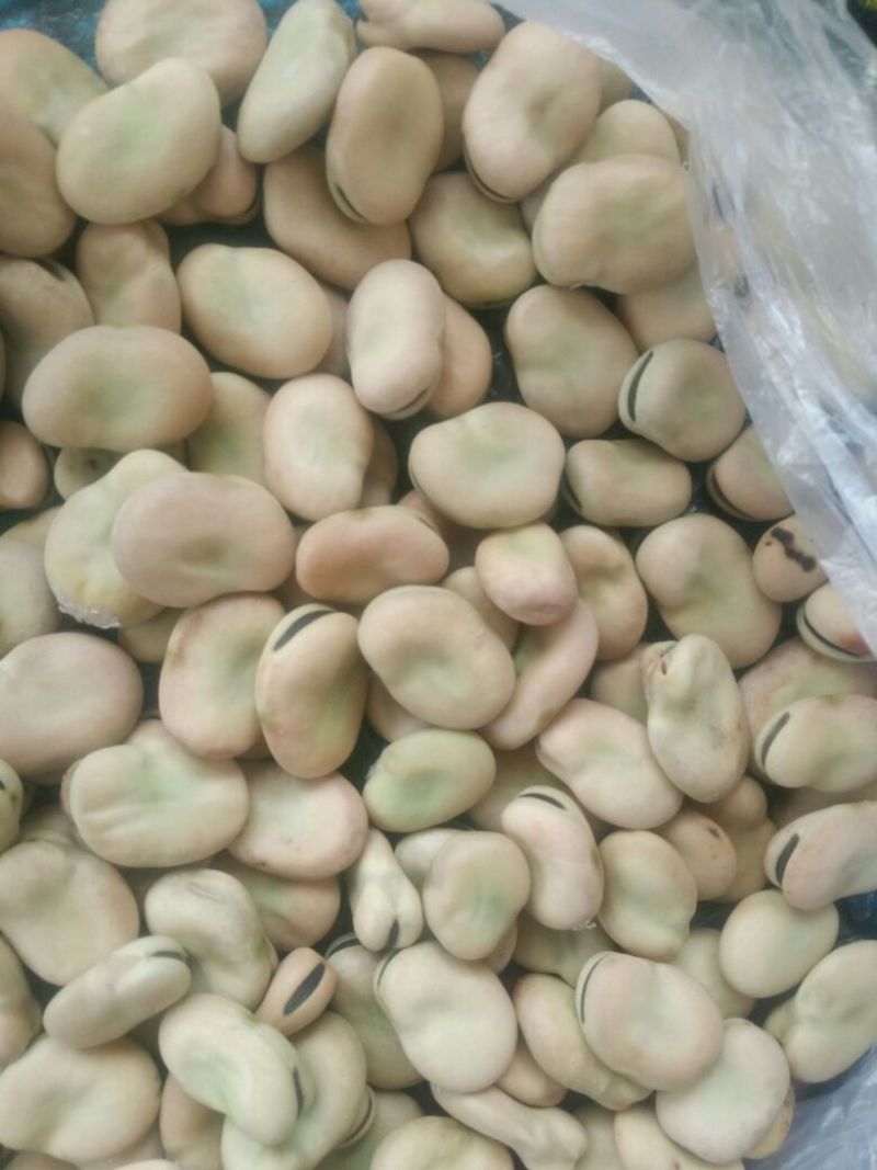 蚕豆优等品