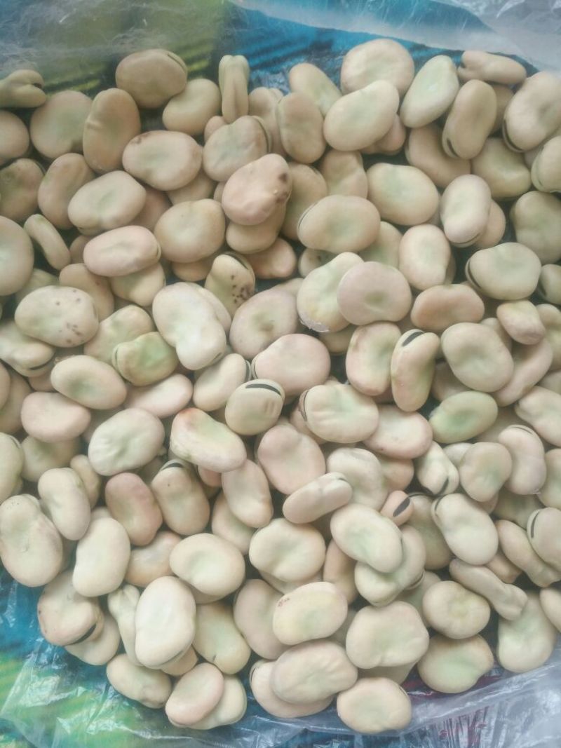 蚕豆优等品