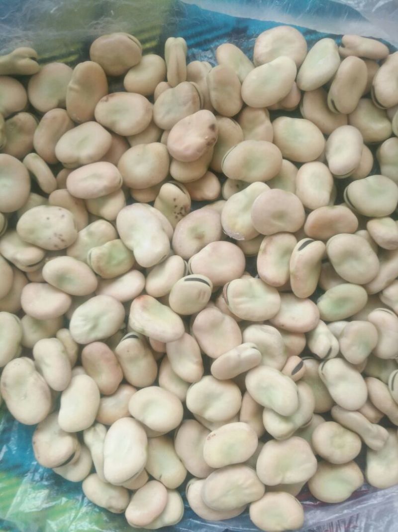 蚕豆优等品