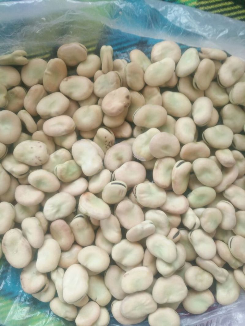 蚕豆优等品