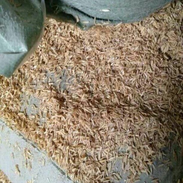 稻壳