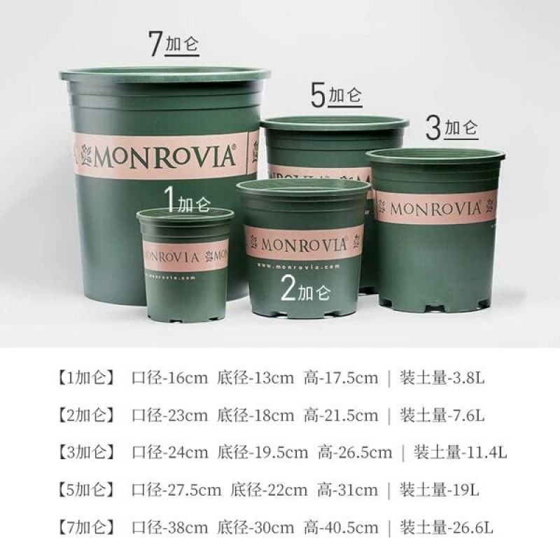 花盆优质加仑盆规格多品质优破损包赔全国可以发货