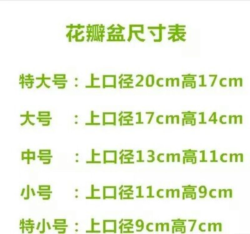 花盆优质小花盆厂家直销包邮破损包赔长期供应