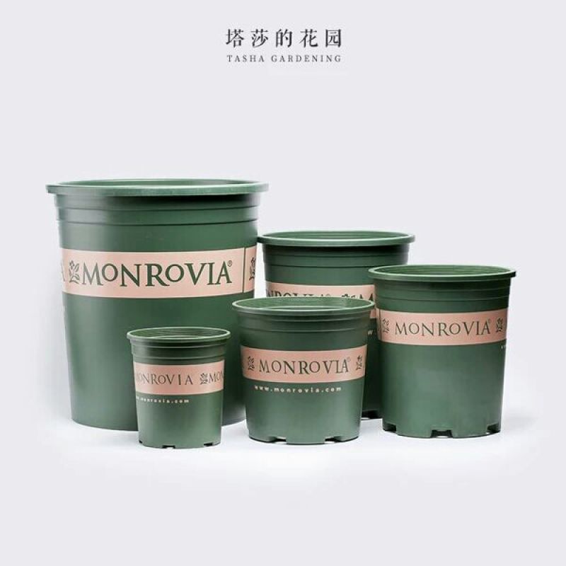 花盆优质小花盆厂家直销包邮破损包赔长期供应