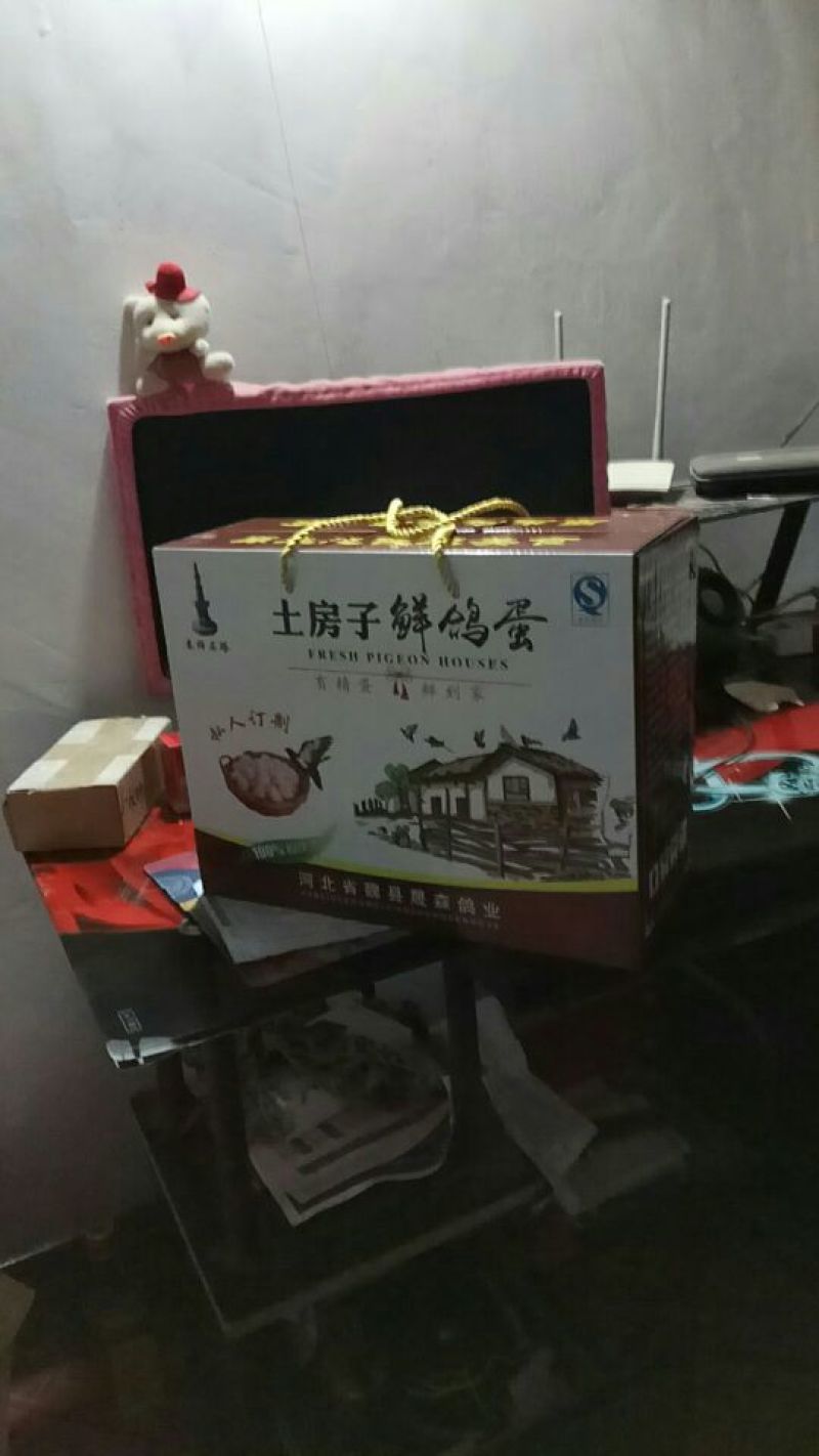 鸽子蛋孵化保质保量晟森鸽业
