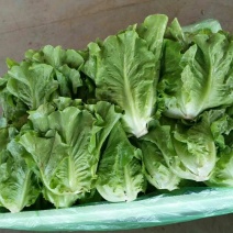 意大利生菜3两~4两。精品走超市，市场
