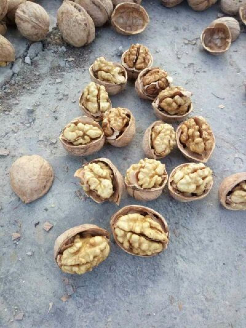 19年新货新疆阿克苏纸皮核桃