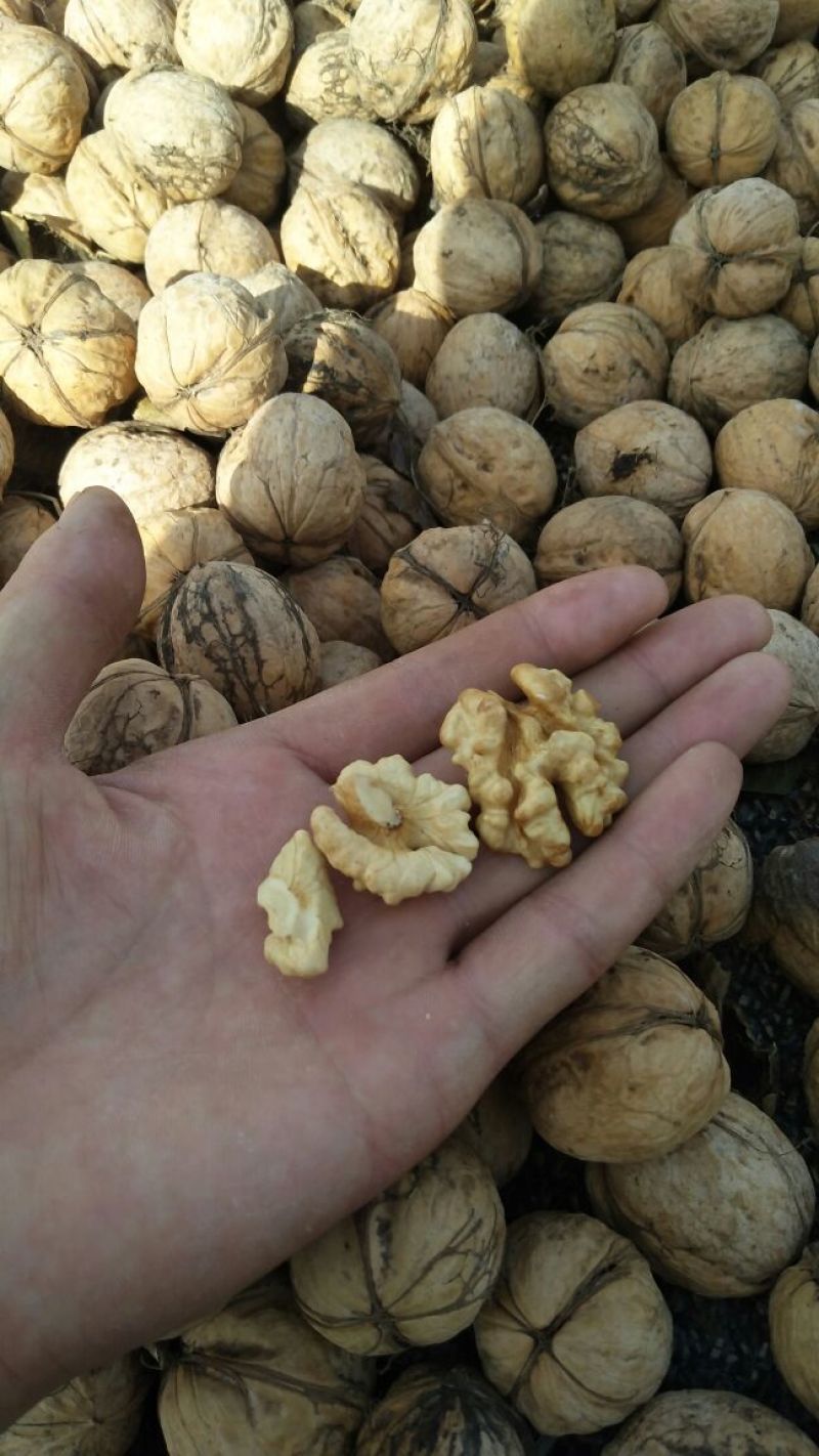 19年新货新疆阿克苏纸皮核桃