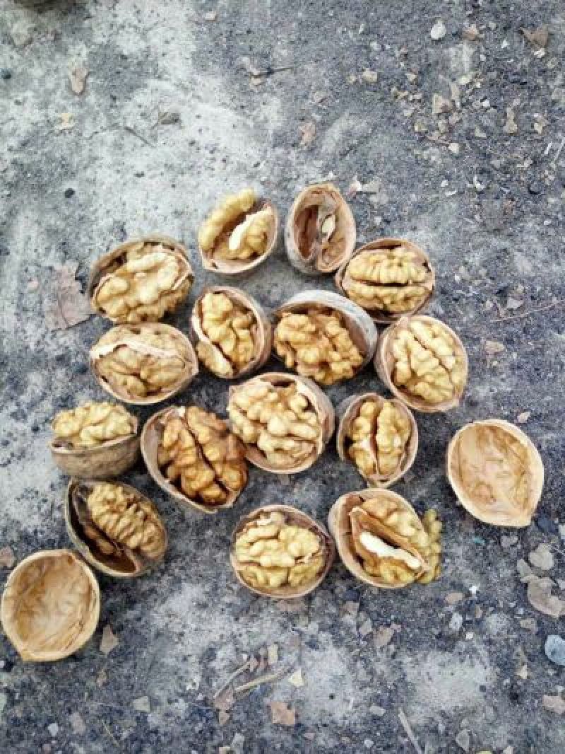 19年新货新疆阿克苏纸皮核桃