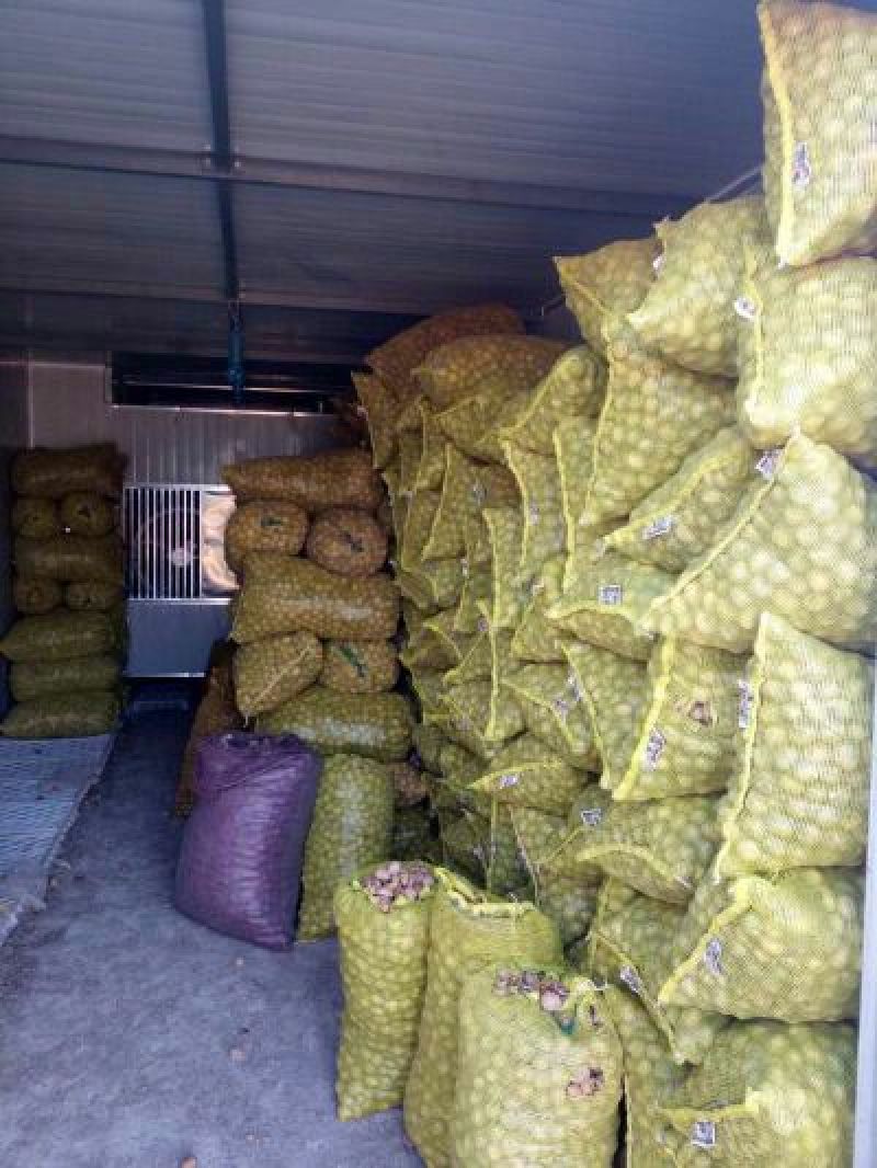 19年新货新疆阿克苏纸皮核桃
