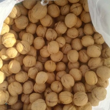 新疆185核桃去皮干