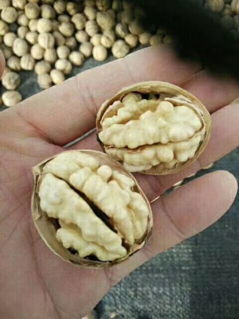 新疆185核桃去皮干