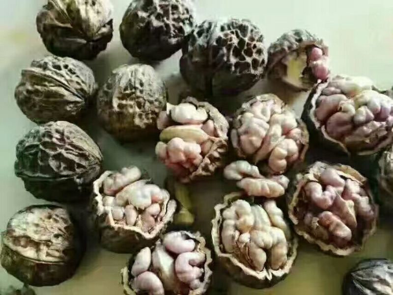 薄皮核桃去皮30mm以上干