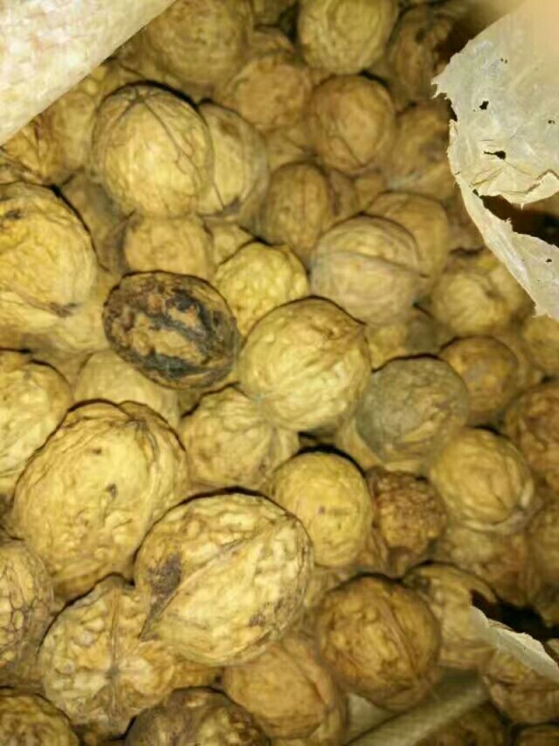 薄皮核桃去皮30mm以上干