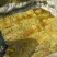 酸豆角