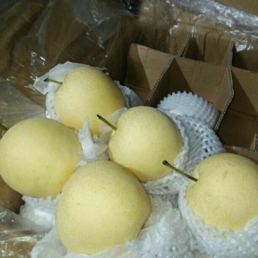 皇冠梨纸箱，三层托盘，四层纸箱，筐装皇冠梨，都有货
