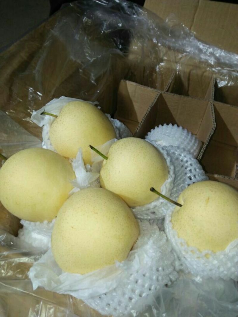 皇冠梨纸箱，三层托盘，四层纸箱，筐装皇冠梨，都有货