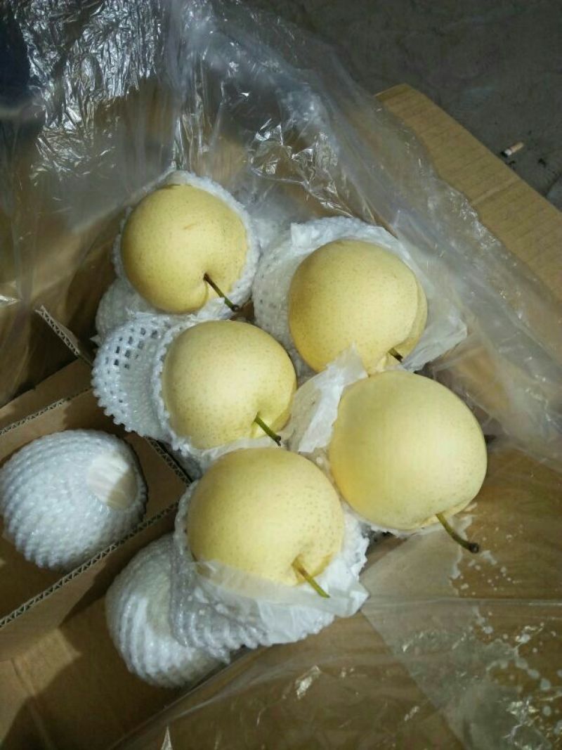 皇冠梨纸箱，三层托盘，四层纸箱，筐装皇冠梨，都有货