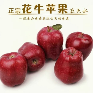 蛇果75mm以上纸袋