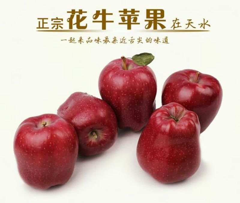 蛇果75mm以上纸袋