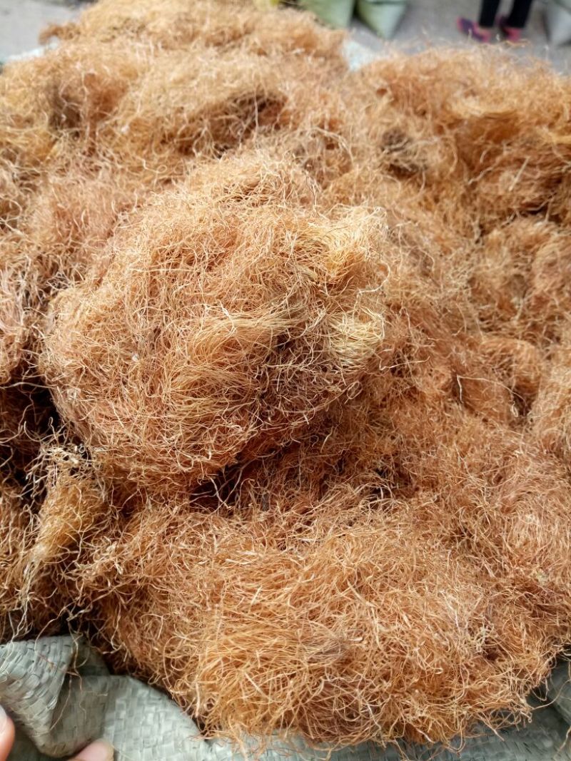 玉米须去黑头颜色均匀选货泡茶量大从优