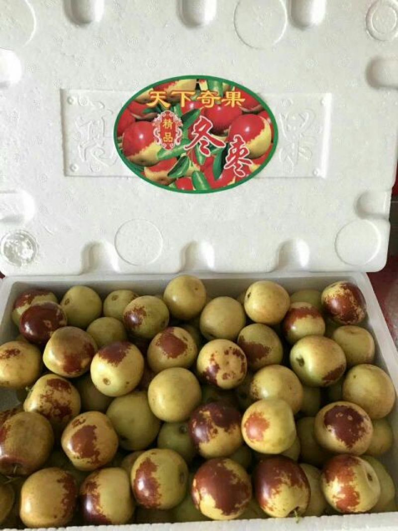 大荔冬枣色好。带红
