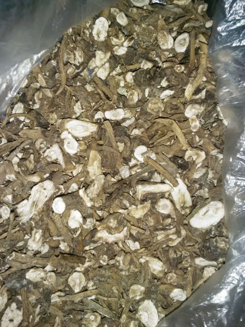 蒲公英根