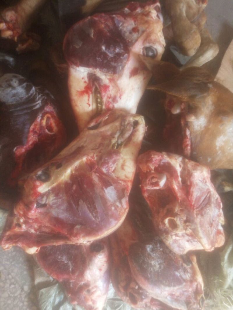 五香驴肉