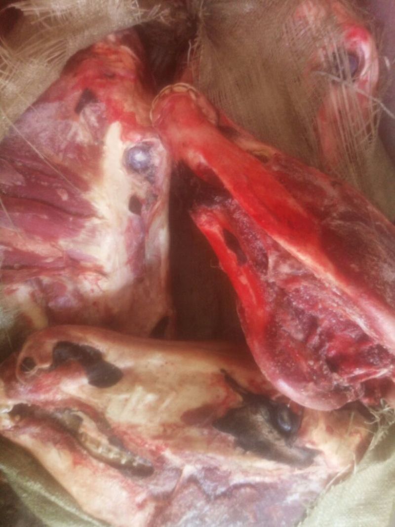 五香驴肉