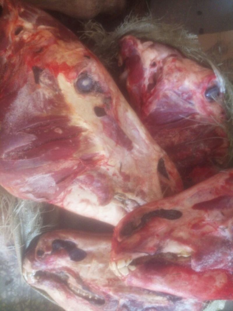 五香驴肉