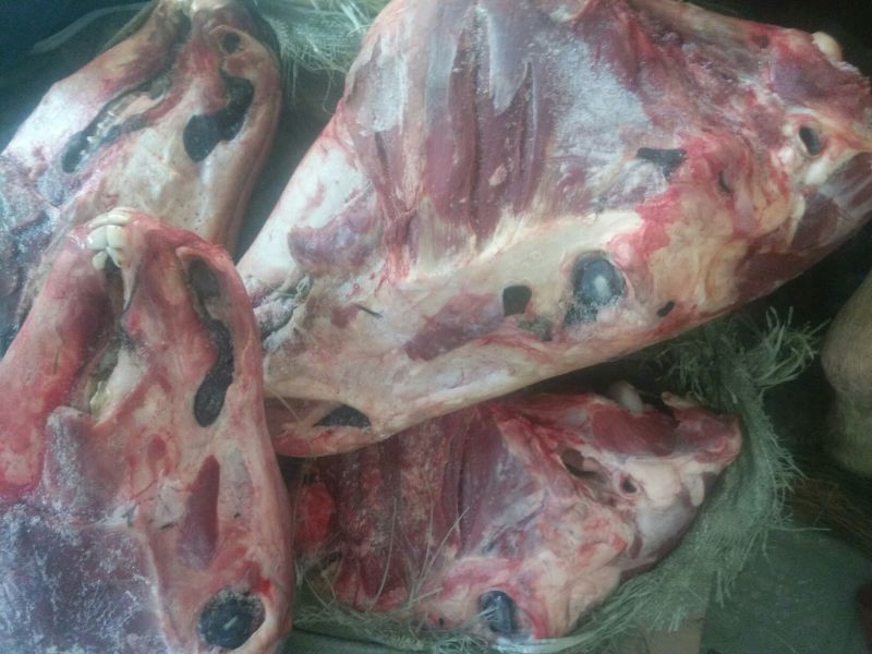 五香驴肉