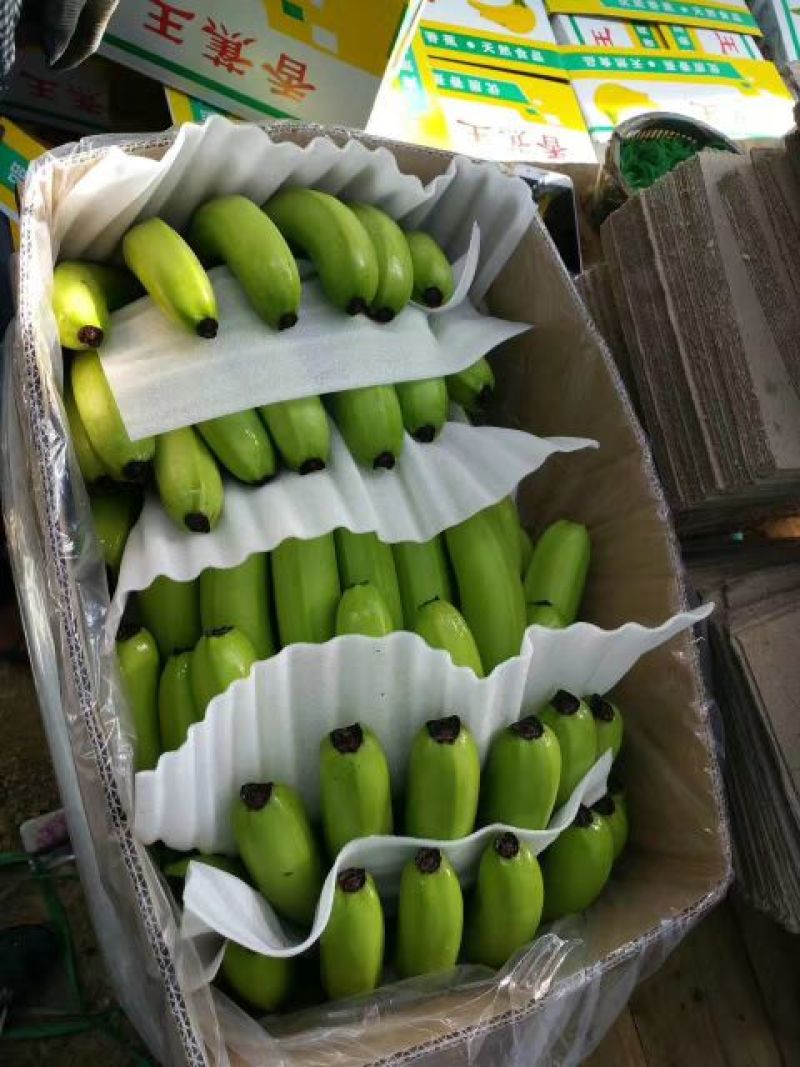 香蕉七成熟