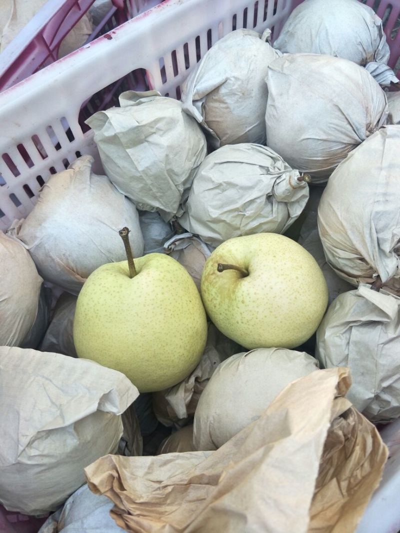 酥梨纸袋250~300g