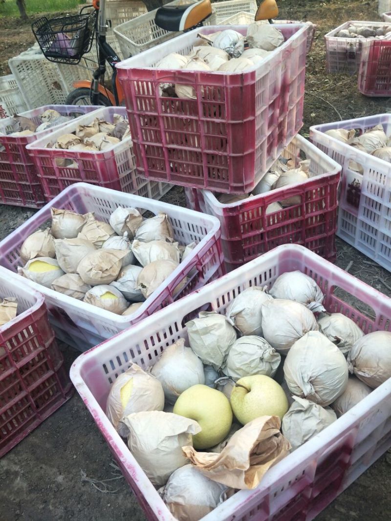 酥梨纸袋250~300g