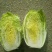 【荐】青岛莱西市精品大白菜，黄心白菜现割现发，可按需包装
