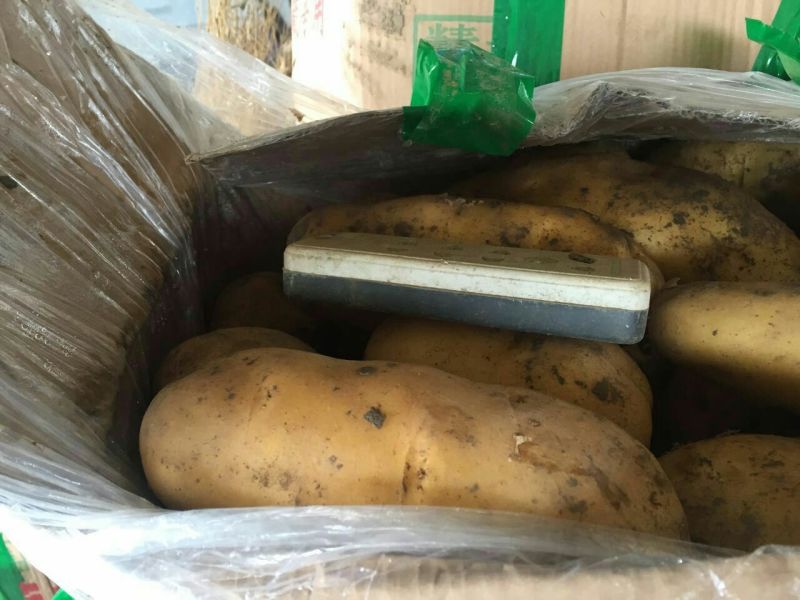 荷兰十五土豆市场、商超、电商、微商支持一件代发