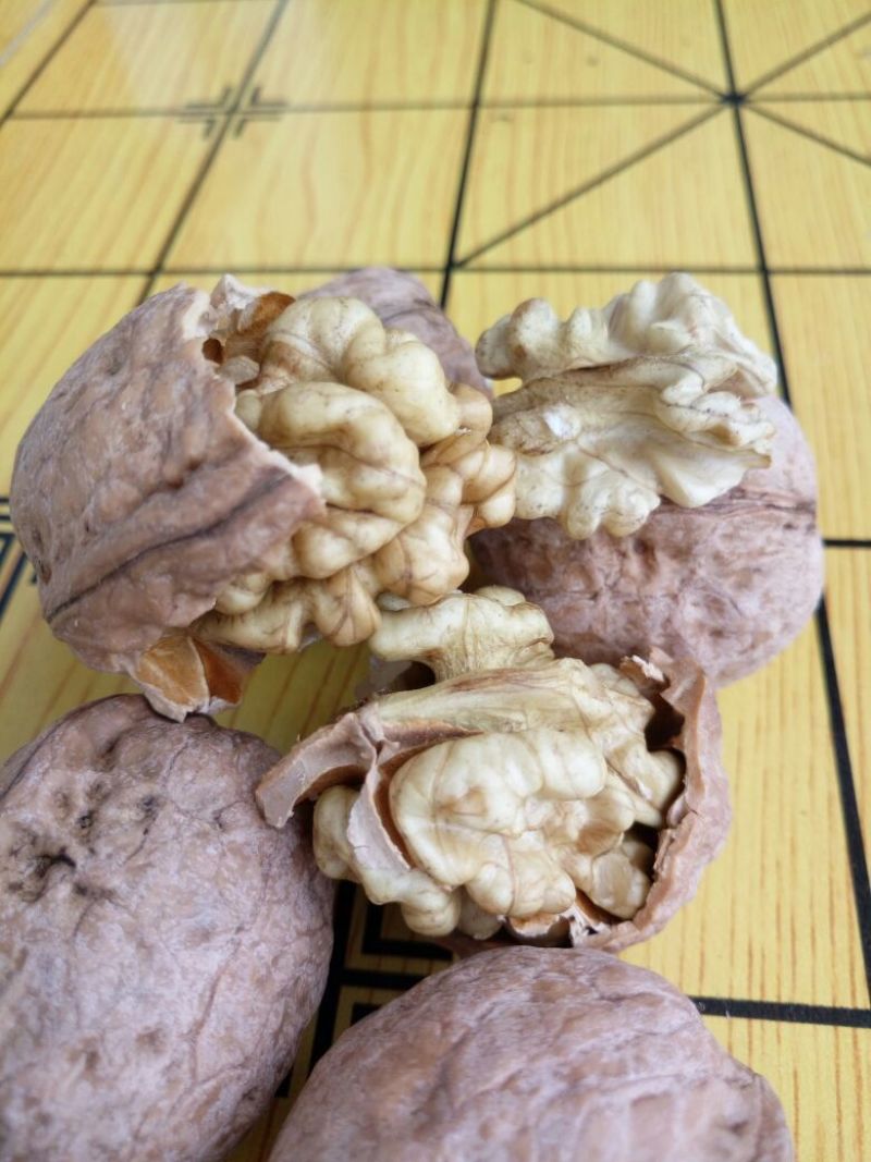 山核桃30mm以上去皮干