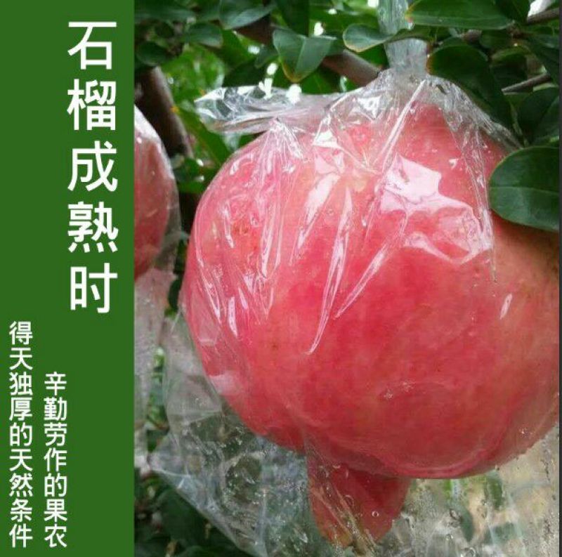 石榴会理软籽石榴产区直发，新鲜包邮到家