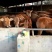 黄牛100~200kg