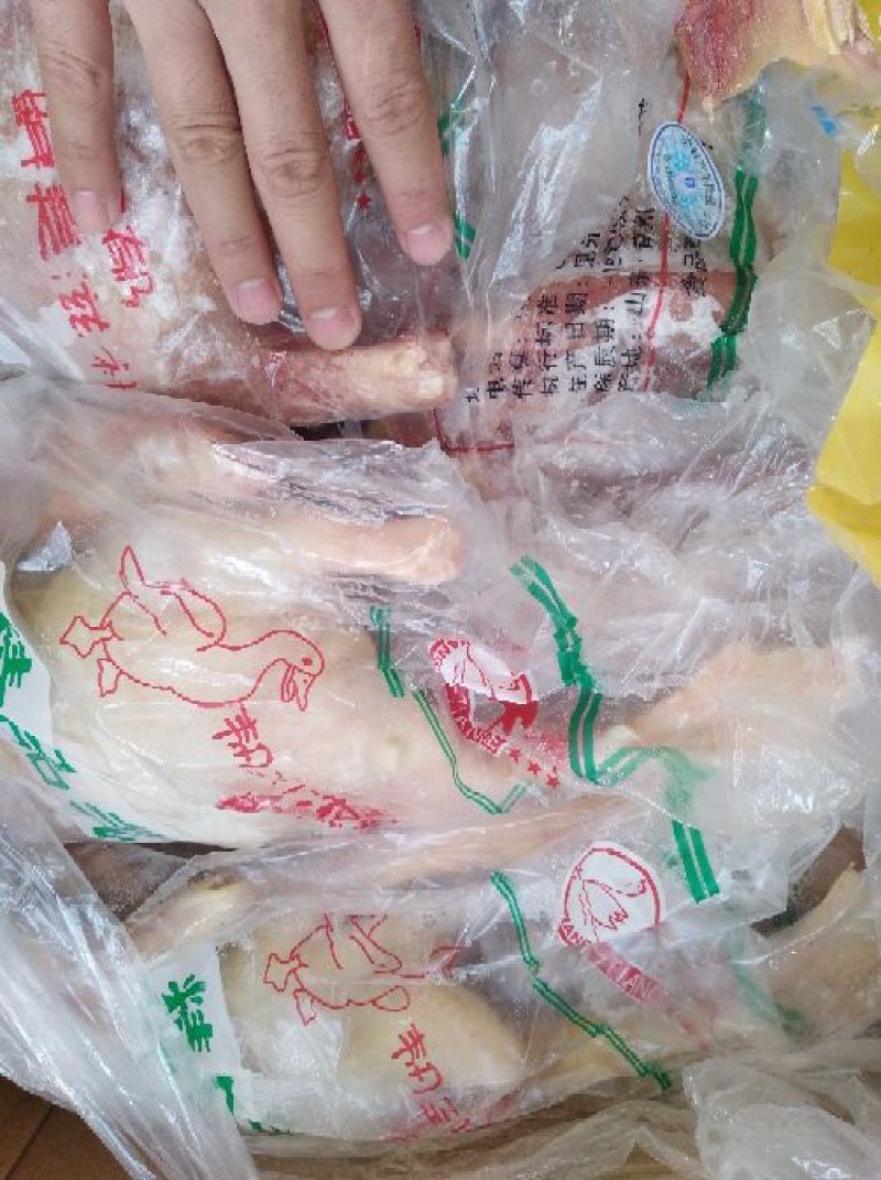 白条鸭