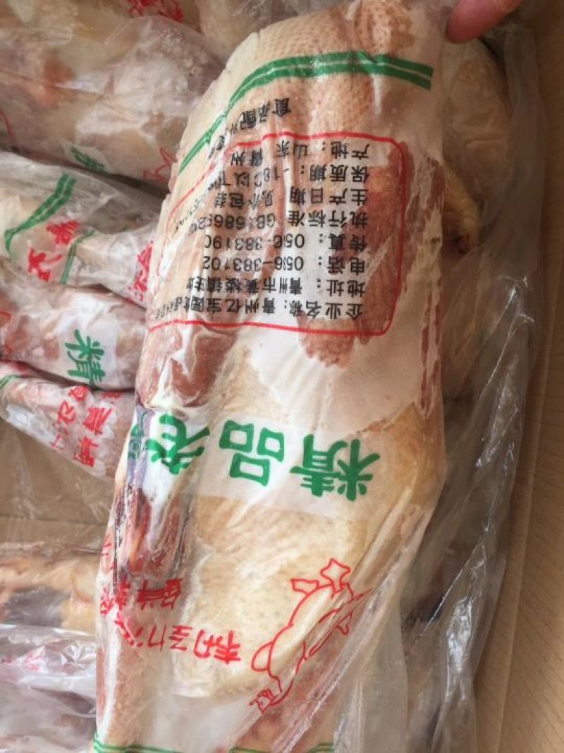 白条鸭