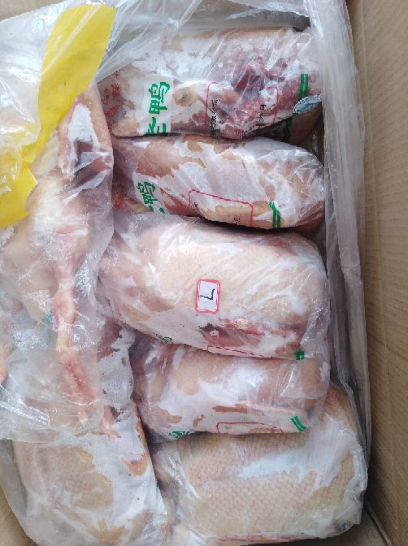 白条鸭