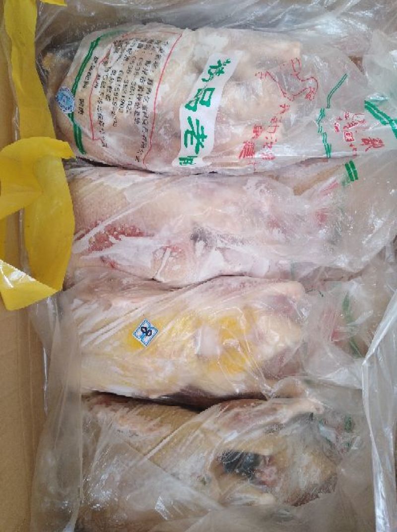 白条鸭