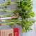 包品种，优质芹菜苗，质优价廉，量大从优，货源稳定，包成活