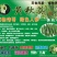 黄秋葵种子98%以上