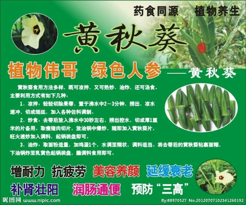 黄秋葵种子98%以上