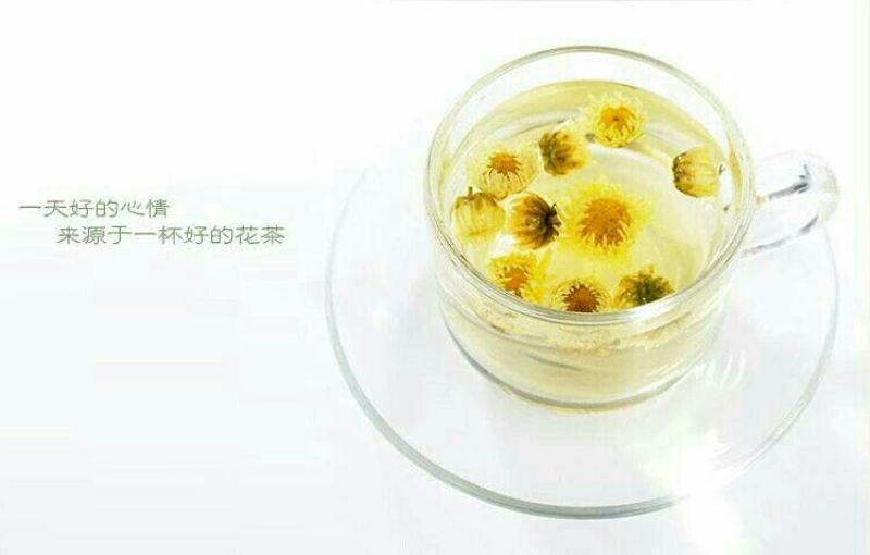 白菊花茶杭白菊精品胎菊