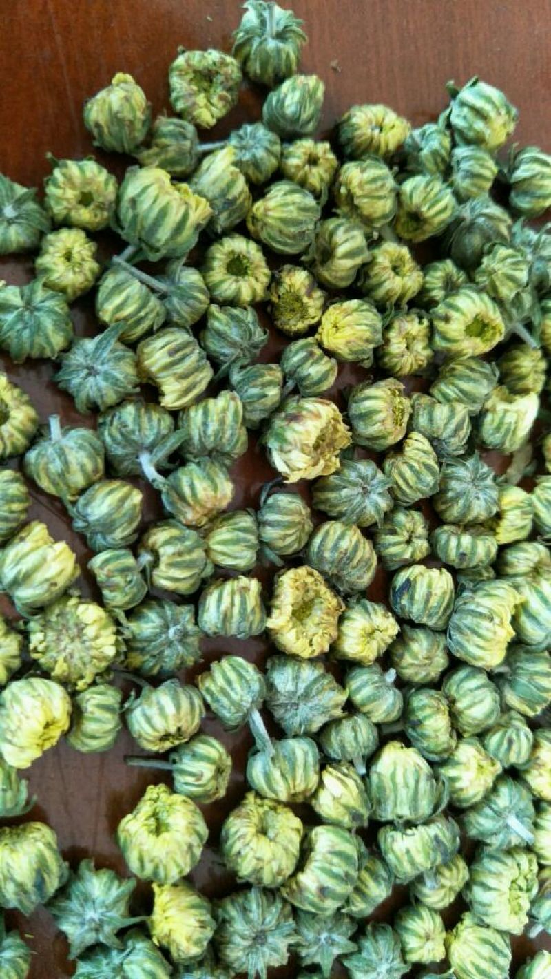白菊花茶杭白菊精品胎菊