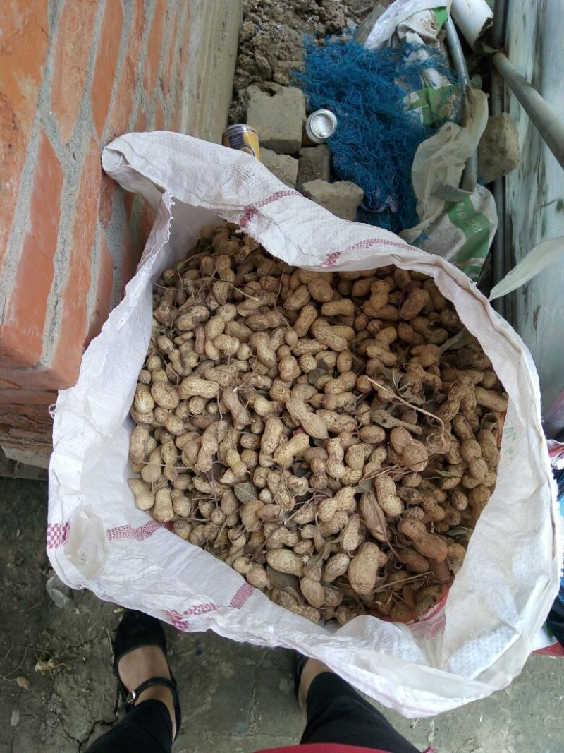 鲁花系列干货带壳